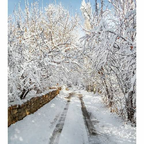 عین اله مریمی کوکه حالم آخه عشق تو تو دست و بالم